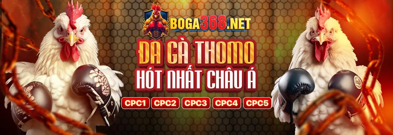 Đấu trường đá gà trực tuyến sôi động tại WIN88 Đăng Nhập